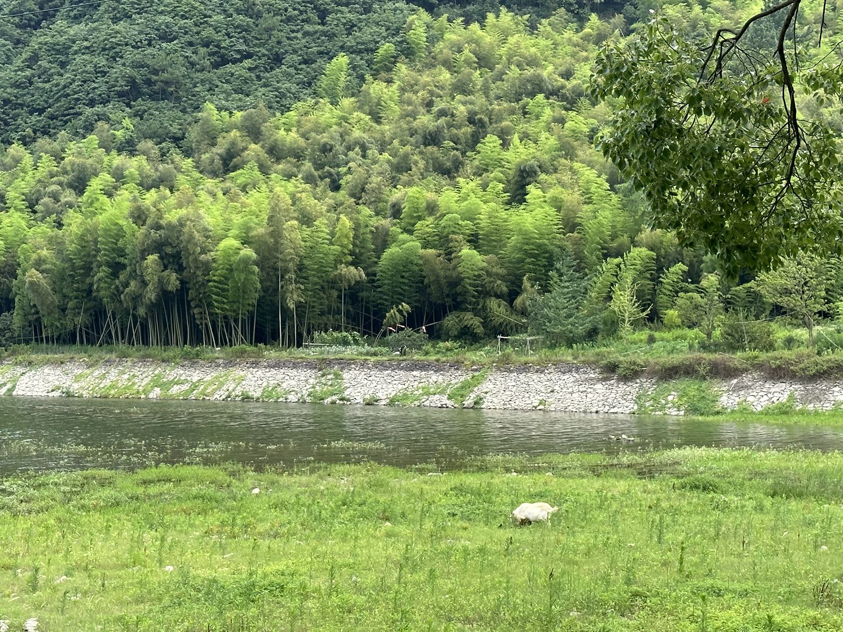 青春赴山海——宁波大学马克思主义学院为茅洋民俗文化振臂呐喊