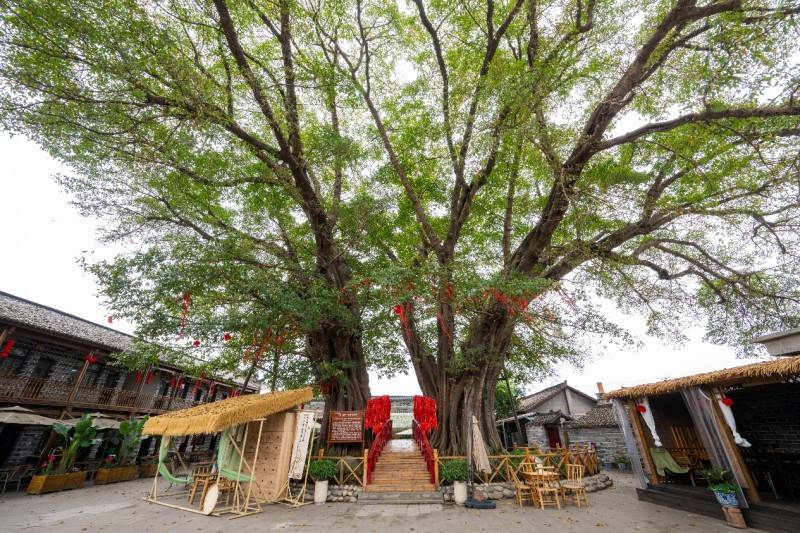 德阳旌阳区十强运营师驻村发力 五一旌乡联动点燃振兴引擎