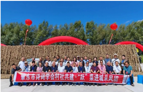黑龙江肇东市作家协会“龙江之夏”文学周活动精彩纷呈