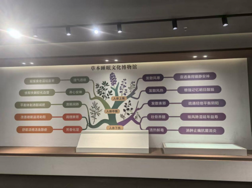 传承御医文化与现代科技融合，“亿吻一款有助于睡眠的生物草本床垫”震撼上市