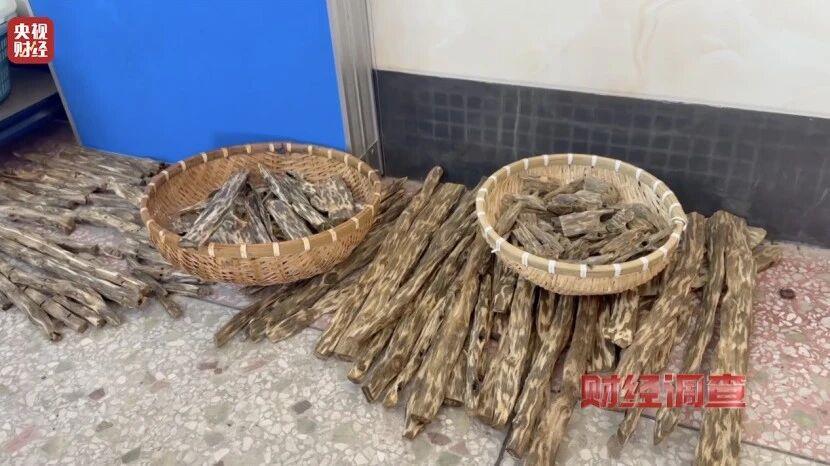 财经调查丨知名沉香市场有商户挂羊头卖狗肉 总台《财经调查》曝光