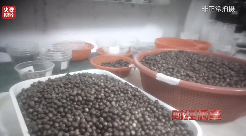 财经调查丨知名沉香市场有商户挂羊头卖狗肉 总台《财经调查》曝光