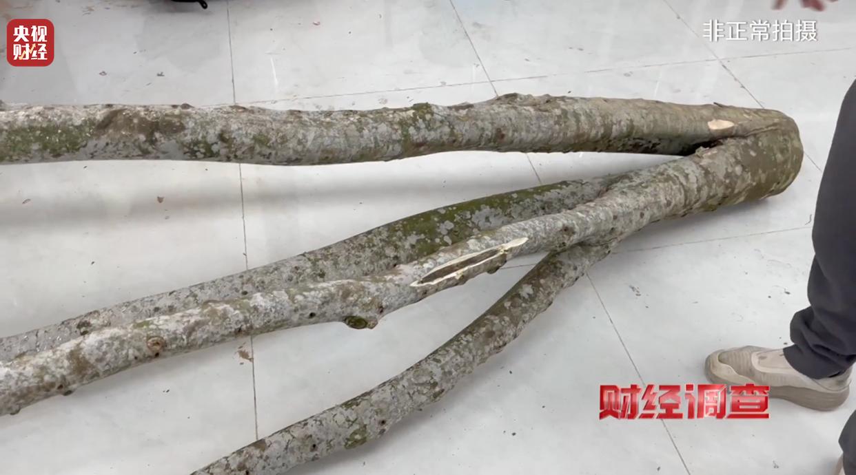 财经调查丨知名沉香市场有商户挂羊头卖狗肉 总台《财经调查》曝光