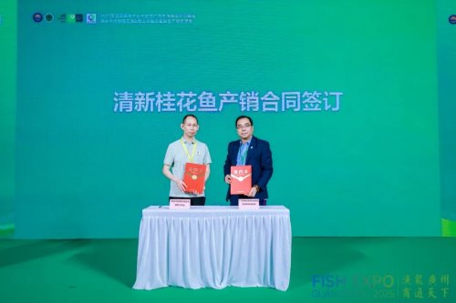 粤皖双向奔赴 “桂花鱼进皖+臭鳜鱼入湾” 拓宽千亿市场
