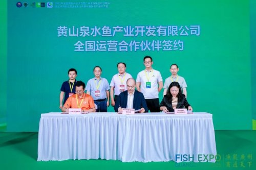 粤皖双向奔赴 “桂花鱼进皖+臭鳜鱼入湾” 拓宽千亿市场