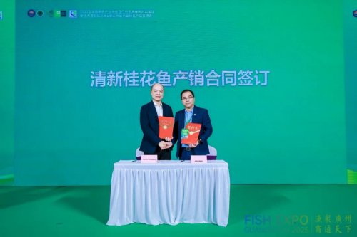 粤皖双向奔赴 “桂花鱼进皖+臭鳜鱼入湾” 拓宽千亿市场