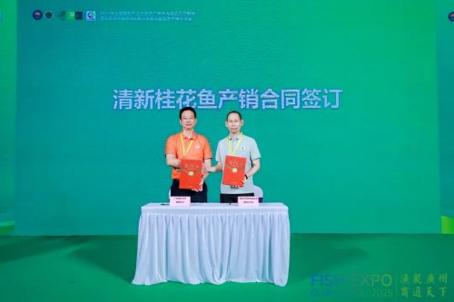 粤皖双向奔赴 “桂花鱼进皖+臭鳜鱼入湾” 拓宽千亿市场