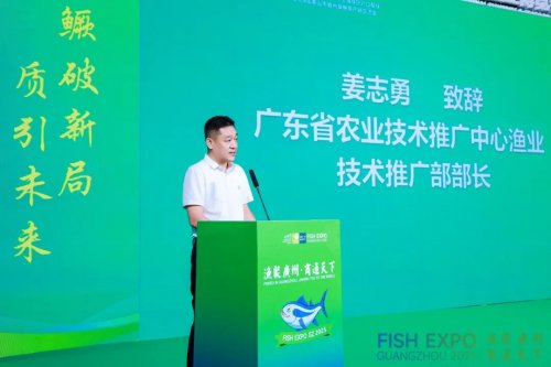 粤皖双向奔赴 “桂花鱼进皖+臭鳜鱼入湾” 拓宽千亿市场