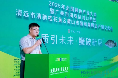 粤皖双向奔赴 “桂花鱼进皖+臭鳜鱼入湾” 拓宽千亿市场