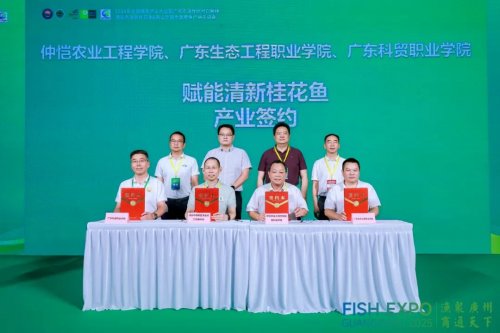 粤皖双向奔赴 “桂花鱼进皖+臭鳜鱼入湾” 拓宽千亿市场