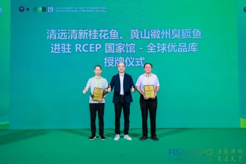 粤皖双向奔赴 “桂花鱼进皖+臭鳜鱼入湾” 拓宽千亿市场