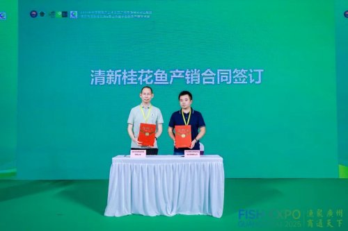 粤皖双向奔赴 “桂花鱼进皖+臭鳜鱼入湾” 拓宽千亿市场