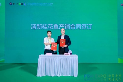 粤皖双向奔赴 “桂花鱼进皖+臭鳜鱼入湾” 拓宽千亿市场