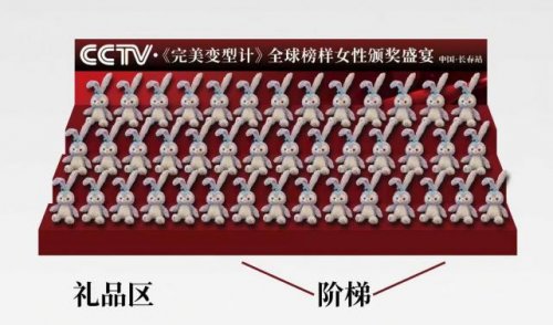 陈晨女士确认出席CCTV全球榜样女性颁奖盛宴，跨界先锋对话女性力量