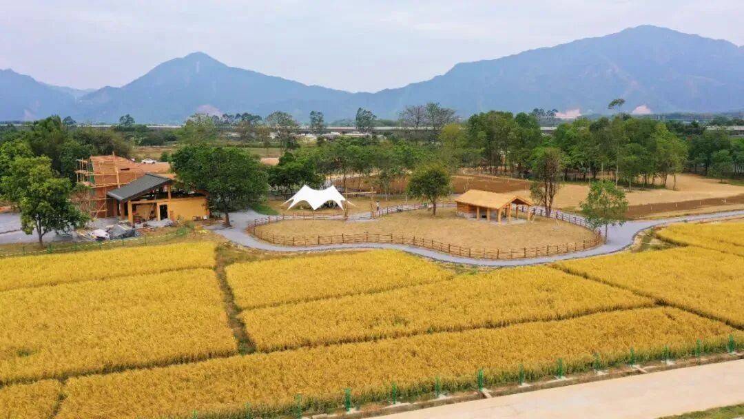 来清远需要几个理由？一个就够了！