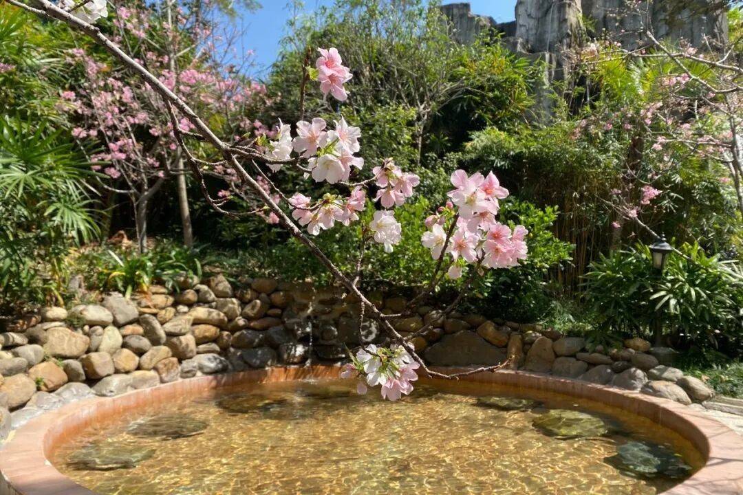 来清远需要几个理由？一个就够了！