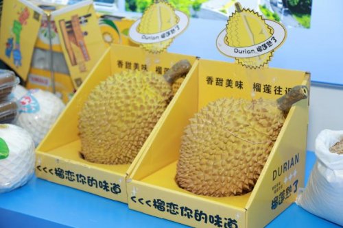 向新而行.链通全球 南沙进口示范区企业群像闪耀