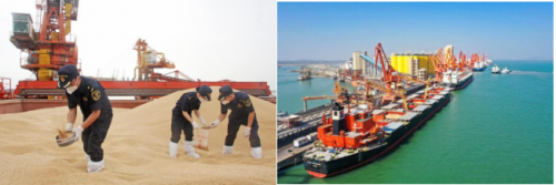 一湾汇五港.开放向世界 南沙展区五赴进博会之约