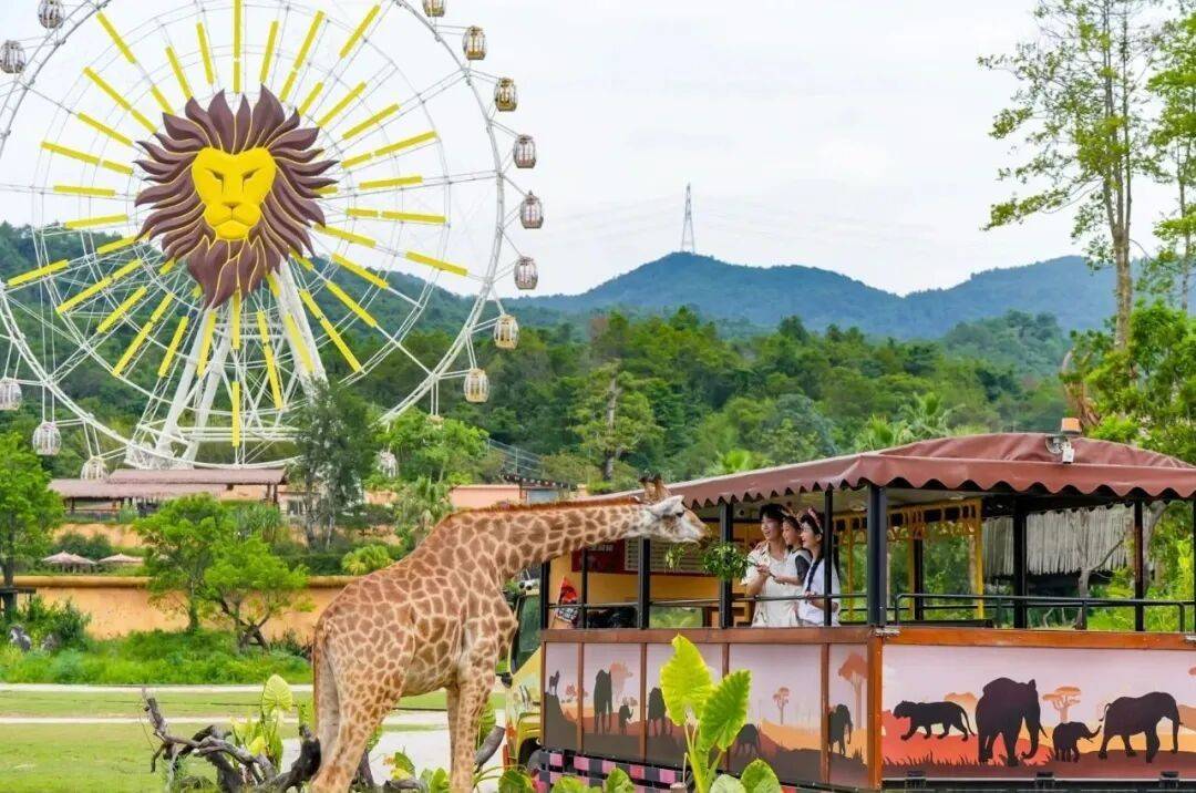 来清远需要几个理由？一个就够了！