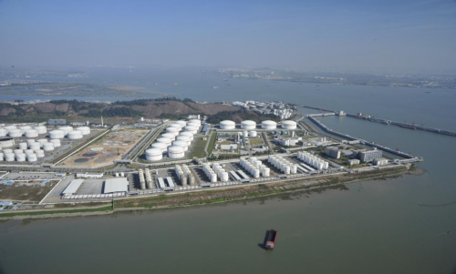 一湾汇五港，开放向世界！带你感受南沙进口示范区五年蝶变