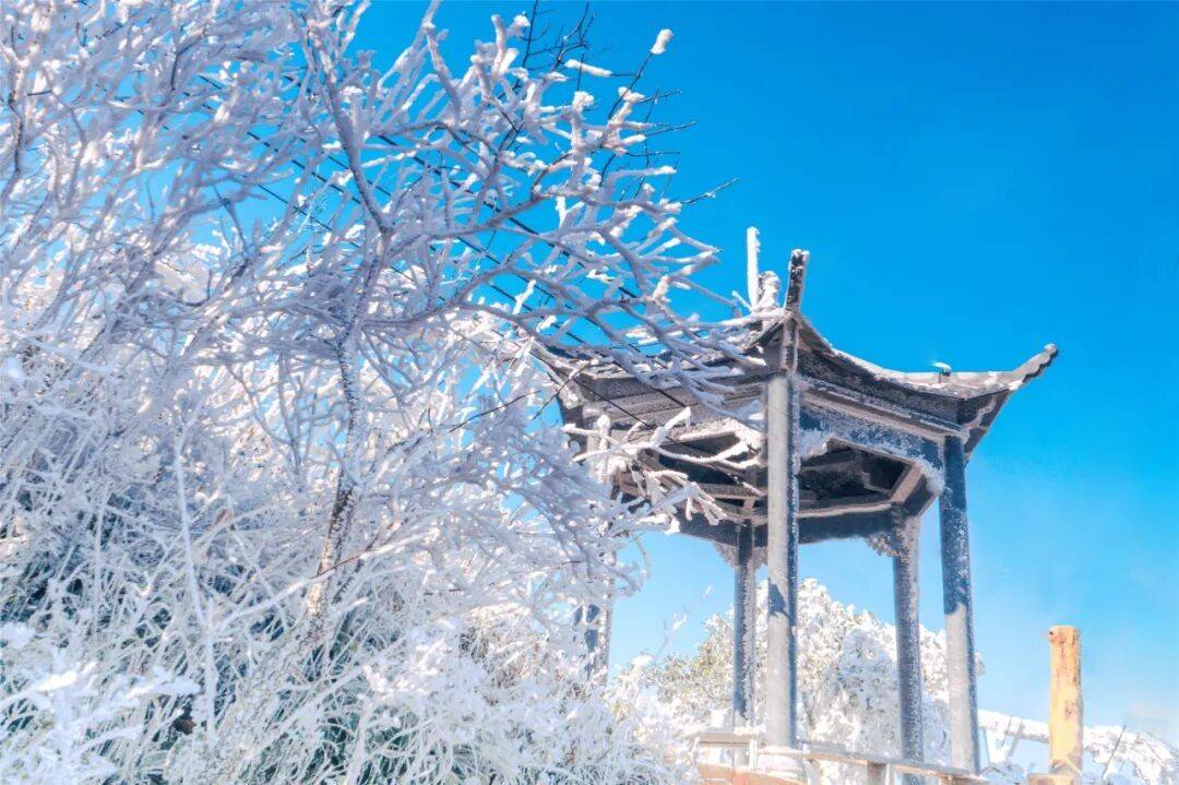 来清远需要几个理由？一个就够了！