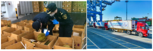 一湾汇五港.开放向世界 南沙展区五赴进博会之约