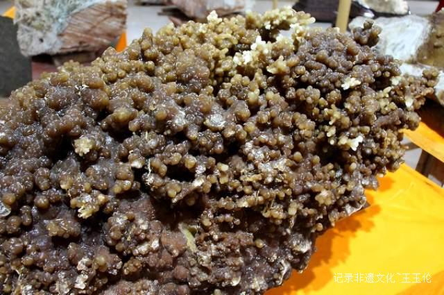 大地之花：一位农民与亿万年的蓝色奇缘