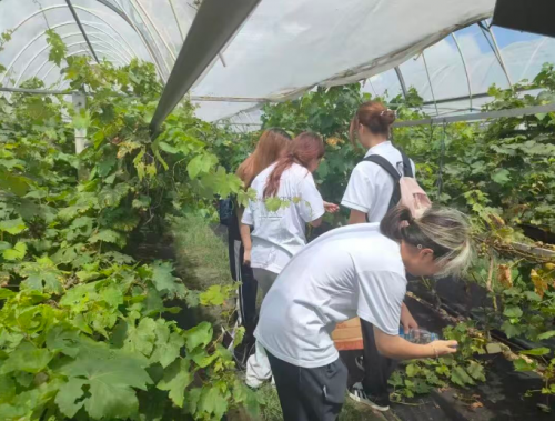 访广东台山冠联农业公司总经理邝冠荣 :树上的燕窝 一个农民的十年生态长征