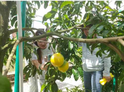 访广东台山冠联农业公司总经理邝冠荣 :树上的燕窝 一个农民的十年生态长征