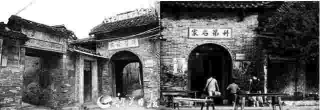 千年古村育佳稻 邓泗洲品牌稻米获评“2025中国最美县域指定大米”