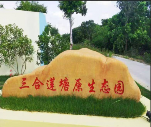 访广东台山冠联农业公司总经理邝冠荣 :树上的燕窝 一个农民的十年生态长征