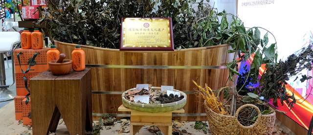 一缕药香跨岭南：从江瑶浴的广州三日与千年回响