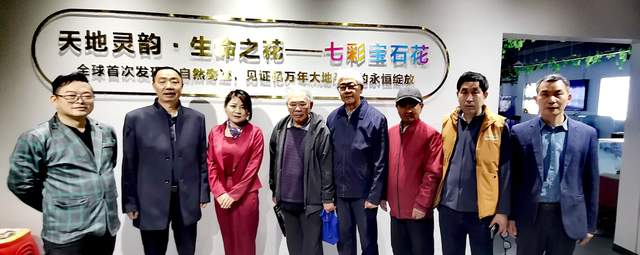 十六载“湘江淬炼”终“荣归故里”：贵州地质专家团莅临青岩古镇“生命之花展览馆”考察指导