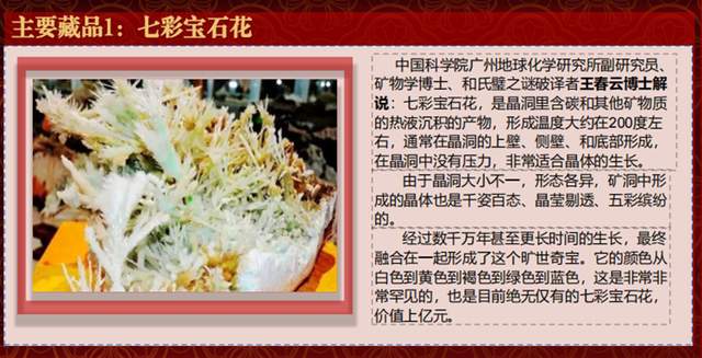 十六载“湘江淬炼”终“荣归故里”：贵州地质专家团莅临青岩古镇“生命之花展览馆”考察指导