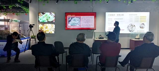 十六载“湘江淬炼”终“荣归故里”：贵州地质专家团莅临青岩古镇“生命之花展览馆”考察指导