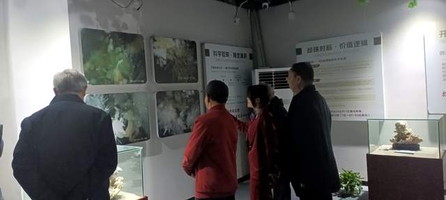 十六载“湘江淬炼”终“荣归故里”：贵州地质专家团莅临青岩古镇“生命之花展览馆”考察指导