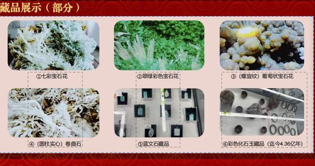 十六载“湘江淬炼”终“荣归故里”：贵州地质专家团莅临青岩古镇“生命之花展览馆”考察指导