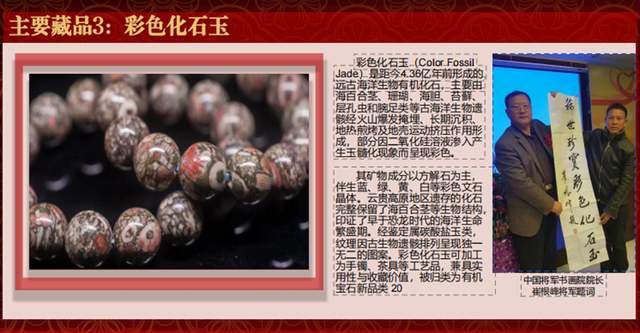 十六载“湘江淬炼”终“荣归故里”：贵州地质专家团莅临青岩古镇“生命之花展览馆”考察指导