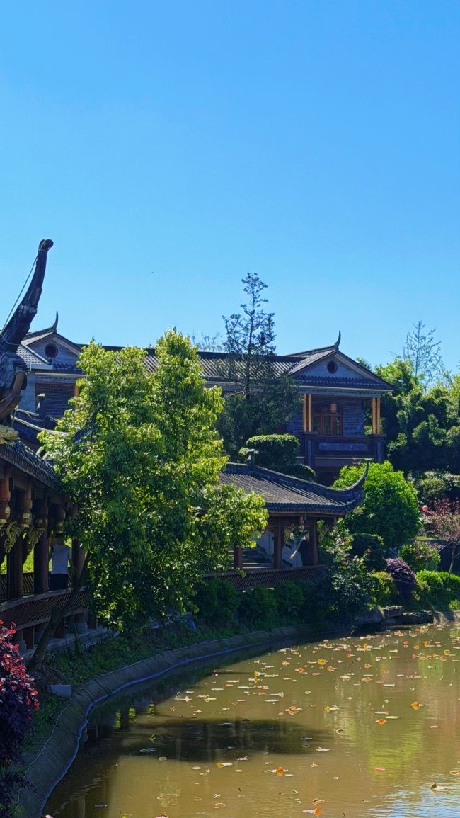 谢杭峰与曼瑜天雅湿地公园：农村儿子的赤子心，让故乡有了温度与光亮