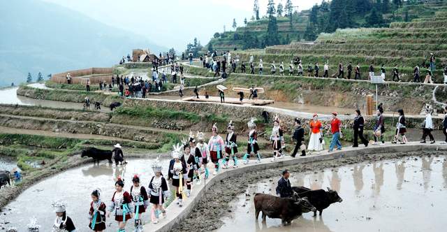 春风送暖启秧门，千年农韵绘新篇——2026年加榜梯田开秧门活动全景纪实