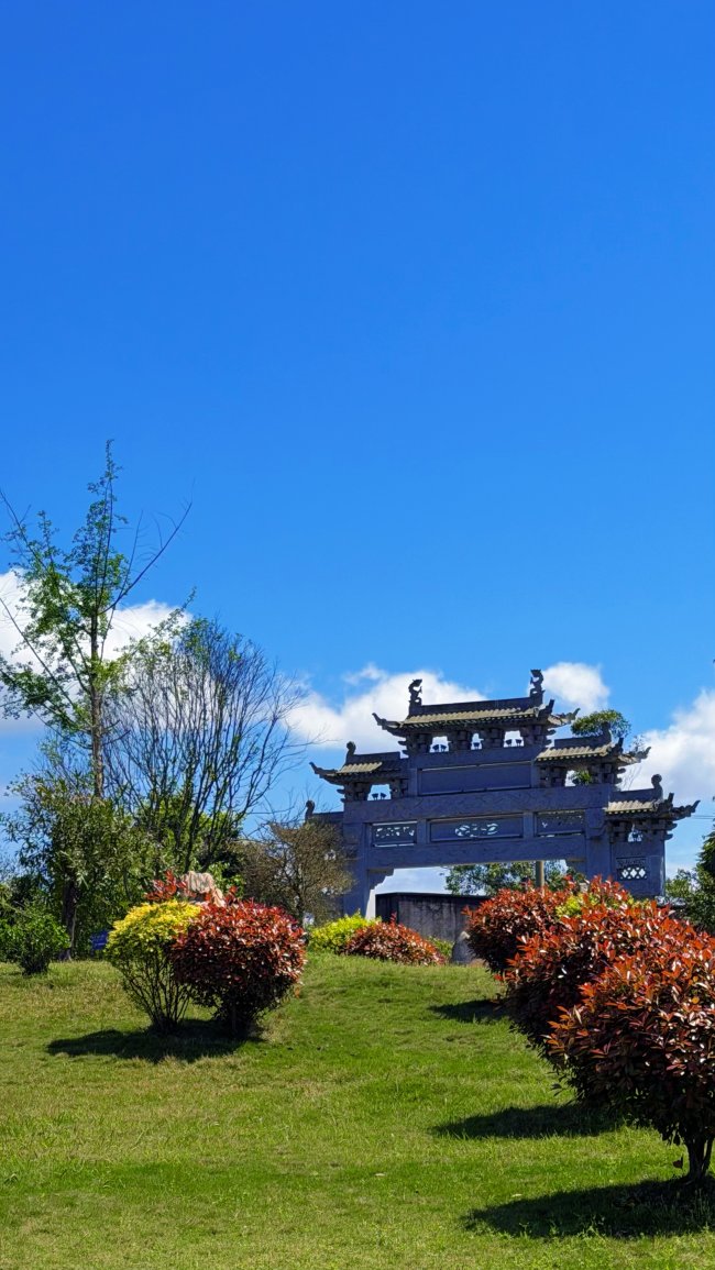 谢杭峰与曼瑜天雅湿地公园：农村儿子的赤子心，让故乡有了温度与光亮