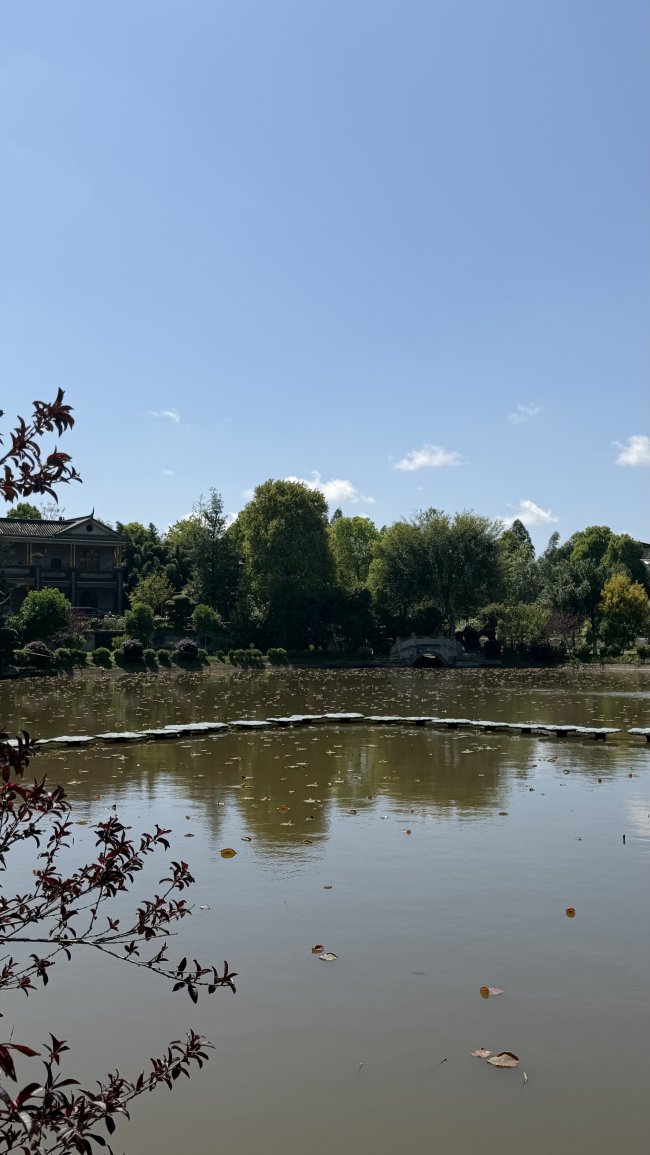 谢杭峰与曼瑜天雅湿地公园：农村儿子的赤子心，让故乡有了温度与光亮