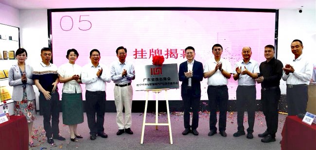 广东省茂名商会低空经济与智慧城市产业联合委员会在珠海揭牌成立