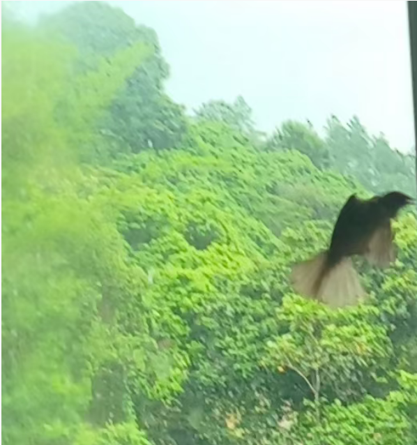 读人生海海，山山而川，不过尔尔