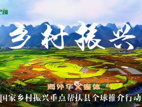 海外华文媒体国家乡村振兴重点帮扶县全球推介行动