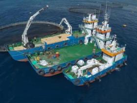 首家马耳他企业落户海南三亚