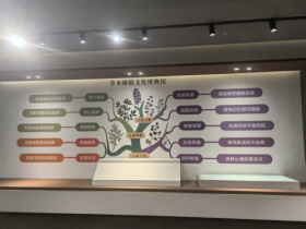 传承御医文化与现代科技融合,“亿吻一款有助于睡眠的生物草本床垫”震撼上市