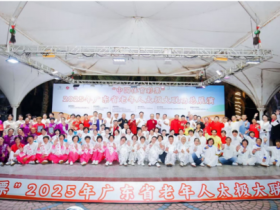 “中国体育彩票”2025年广东省老年人太极大联动总展演于海陵岛圆满落幕