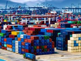 一湾汇五港,开放向世界!带你感受南沙进口示范区五年蝶变