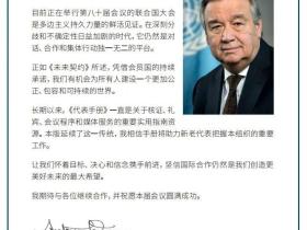 国视农董事长覃泽宇应邀担任联合国特邀观察员
